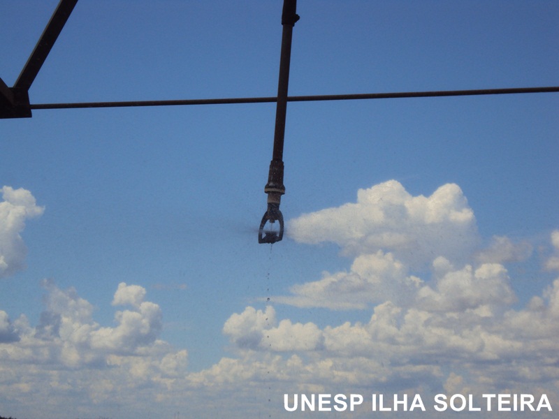 aula_cerrado_12marc2012 (38).JPG